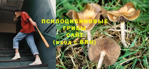 дурь Алексин