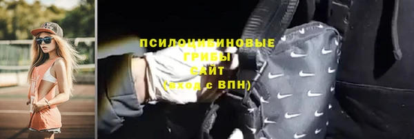 соль ск Алзамай