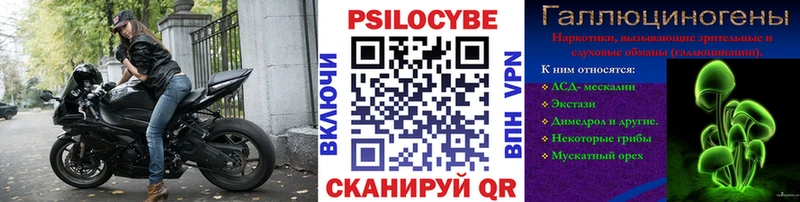 Галлюциногенные грибы Psilocybine cubensis  Карпинск 